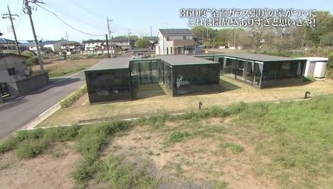 ドリームハウスの失敗とその後!ガラス張りの家・土の家・ラブホの家・牛舎の家を紹介【画像多数】