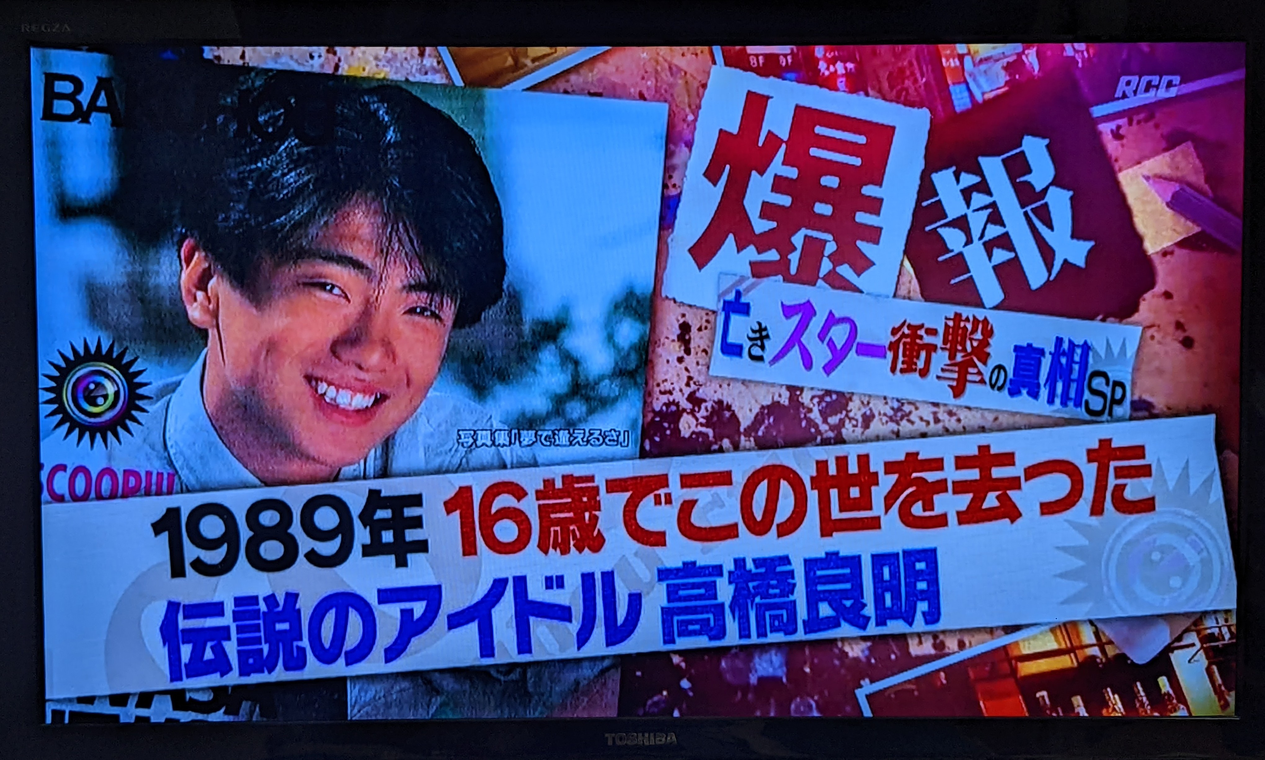 活動歴および当時の関連ビジュアル記録